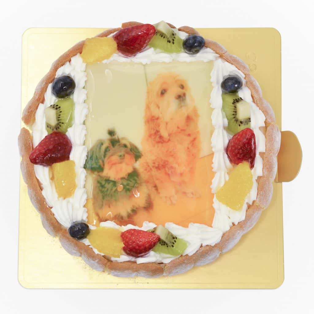ワンちゃんの写真ケーキ　Mサイズ